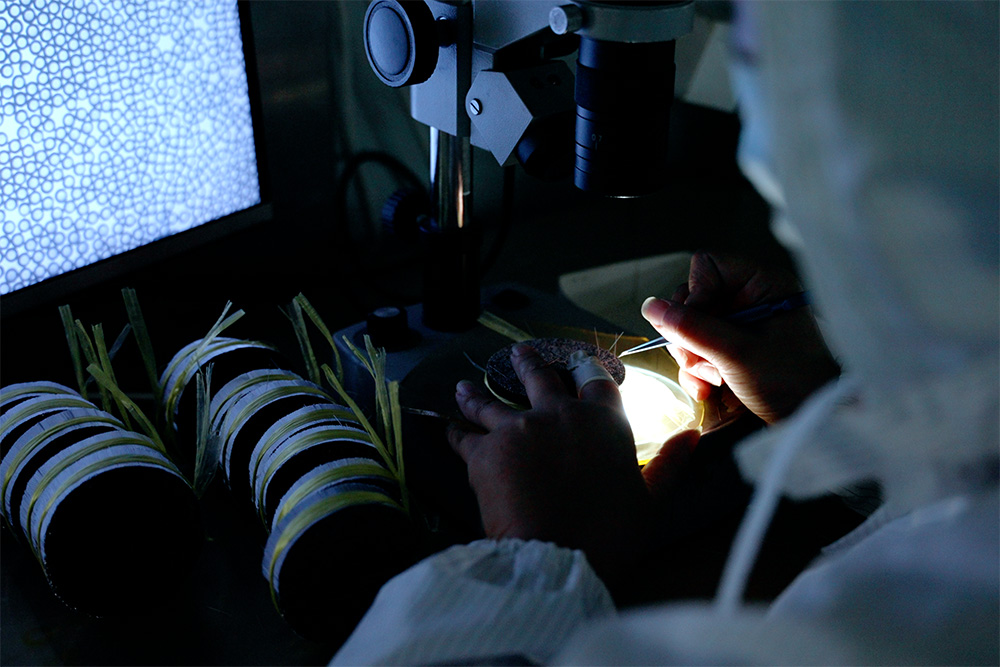 Manual inspection